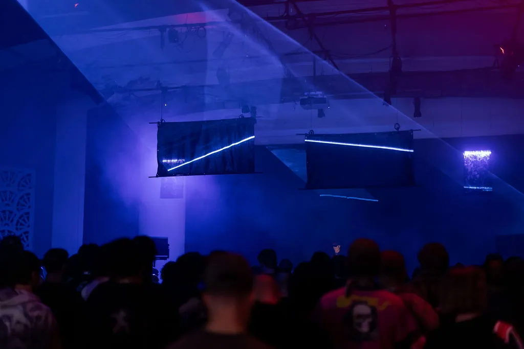 Tube lights and laser holding together across panels and the audience